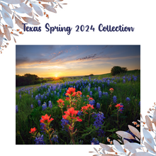 Load image into Gallery viewer, Texas Spring 2024 Collection
